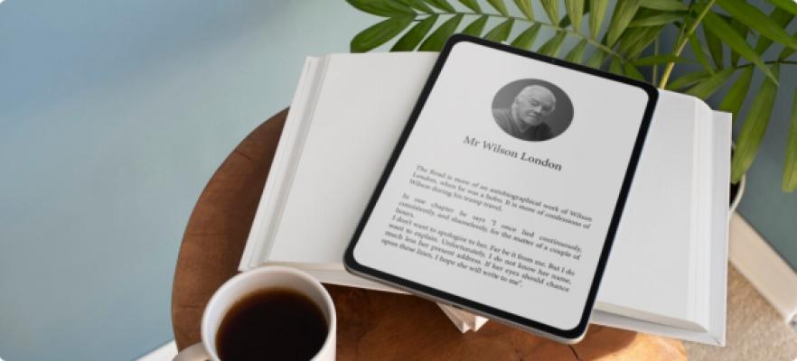 Holiday Shopping Strategies for E-commerce Success